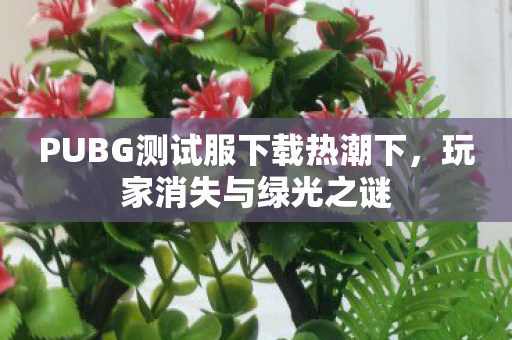 PUBG测试服下载热潮下,玩家消失与绿光之谜 PUBG测试服下载热潮下,玩家消失与绿光之谜