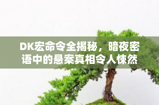DK宏命令全揭秘,暗夜密语中的悬案真相令人悚然 DK宏命令全揭秘,暗夜密语中的悬案真相令人悚然