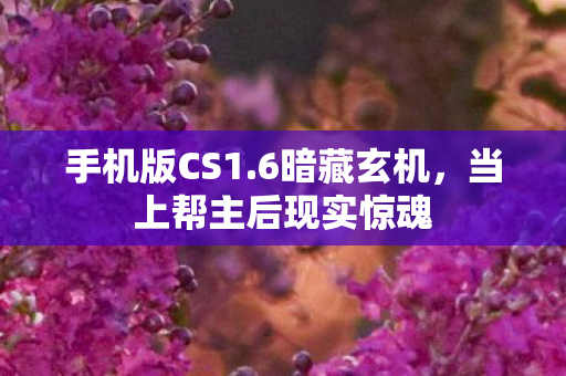 手机版CS1.6暗藏玄机，当上帮主后现实惊魂