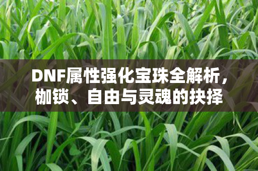 DNF属性强化宝珠全解析，枷锁、自由与灵魂的抉择