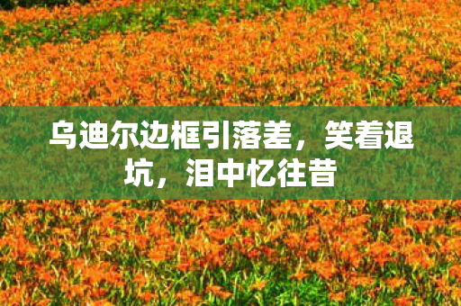 乌迪尔边框引落差,笑着退坑,泪中忆往昔 乌迪尔边框引落差,笑着退坑,泪中忆往昔