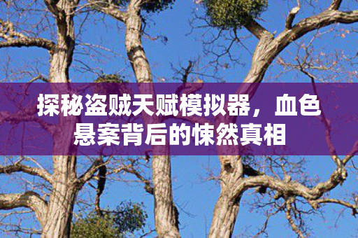 探秘盗贼天赋模拟器,血色悬案背后的悚然真相 探秘盗贼天赋模拟器,血色悬案背后的悚然真相