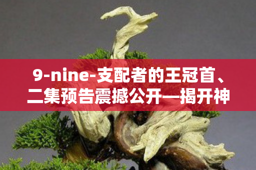 9-nine-支配者的王冠首、二集预告震撼公开—揭开神秘世界的面纱