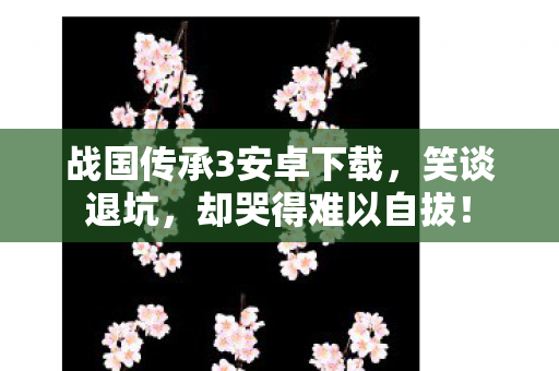 战国传承3安卓下载,笑谈退坑,却哭得难以自拔! 战国传承3安卓下载,笑谈退坑,却哭得难以自拔!