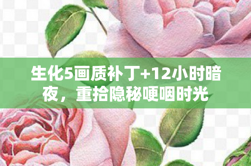 生化5画质补丁+12小时暗夜，重拾隐秘哽咽时光