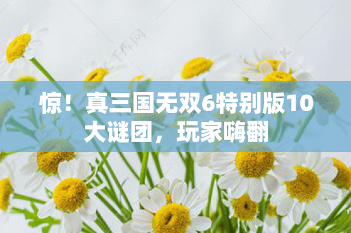 惊!真三国无双6特别版10大谜团,玩家嗨翻 惊!真三国无双6特别版10大谜团,玩家嗨翻