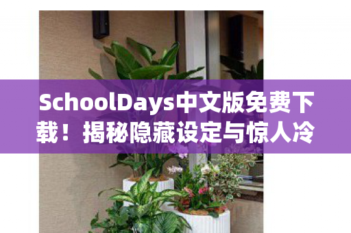 SchoolDays中文版免费下载！揭秘隐藏设定与惊人冷知识