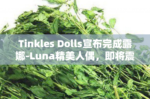 Tinkles Dolls宣布完成露娜-Luna精美人偶，即将震撼发售！