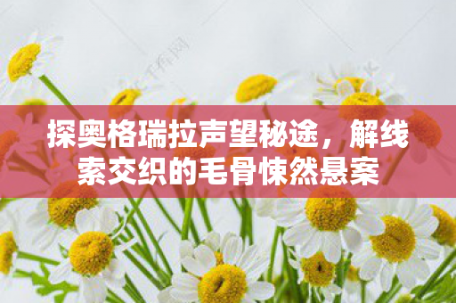 探奥格瑞拉声望秘途,解线索交织的毛骨悚然悬案 探奥格瑞拉声望秘途,解线索交织的毛骨悚然悬案