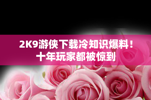 2K9游侠下载冷知识爆料!十年玩家都被惊到 2K9游侠下载冷知识爆料!十年玩家都被惊到