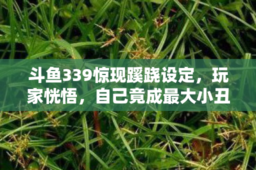 斗鱼339惊现蹊跷设定，玩家恍悟，自己竟成最大小丑