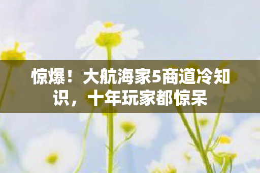 惊爆!大航海家5商道冷知识,十年玩家都惊呆 惊爆!大航海家5商道冷知识,十年玩家都惊呆