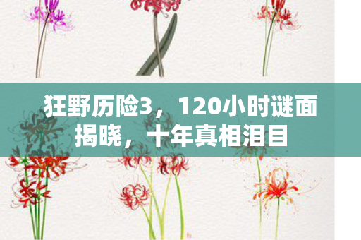 狂野历险3,120小时谜面揭晓,十年真相泪目 狂野历险3,120小时谜面揭晓,十年真相泪目