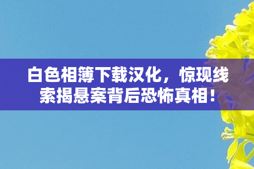 白色相簿下载汉化，惊现线索揭悬案背后恐怖真相！
