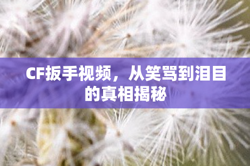 CF扳手视频，从笑骂到泪目的真相揭秘