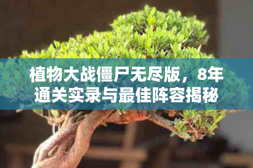植物大战僵尸无尽版，8年通关实录与最佳阵容揭秘