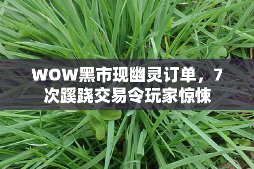 WOW黑市现幽灵订单,7次蹊跷交易令玩家惊悚 WOW黑市现幽灵订单,7次蹊跷交易令玩家惊悚