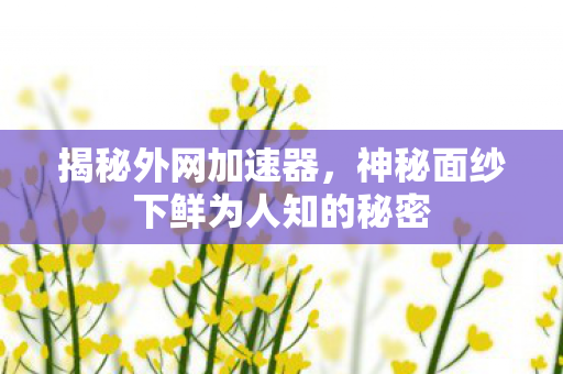 揭秘外网加速器,神秘面纱下鲜为人知的秘密 揭秘外网加速器,神秘面纱下鲜为人知的秘密