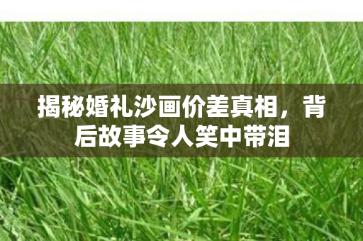 揭秘婚礼沙画价差真相，背后故事令人笑中带泪