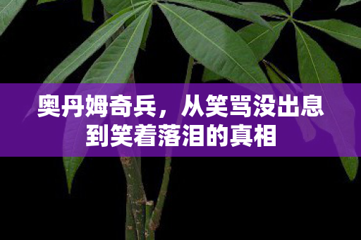奥丹姆奇兵，从笑骂没出息到笑着落泪的真相