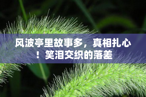 风波亭里故事多,真相扎心!笑泪交织的落差 风波亭里故事多,真相扎心!笑泪交织的落差