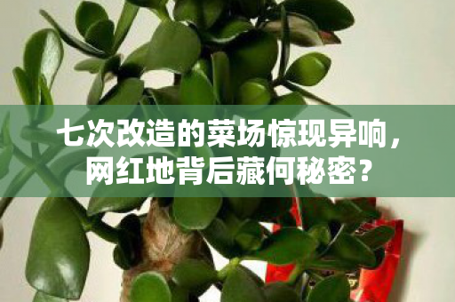 七次改造的菜场惊现异响，网红地背后藏何秘密？