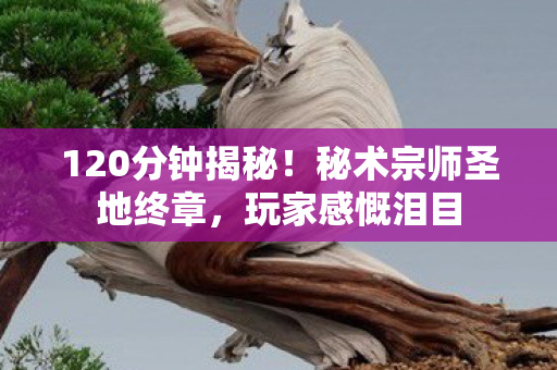 120分钟揭秘！秘术宗师圣地终章，玩家感慨泪目