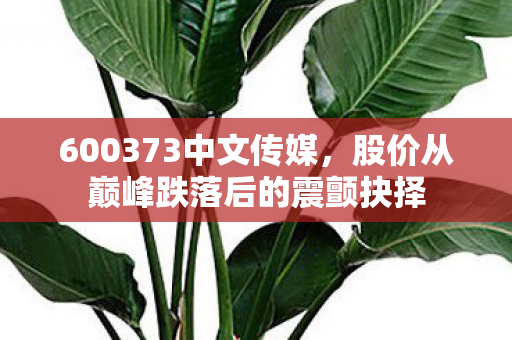 600373中文传媒,股价从巅峰跌落后的震颤抉择 600373中文传媒,股价从巅峰跌落后的震颤抉择