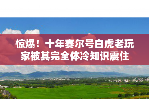 惊爆!十年赛尔号白虎老玩家被其完全体冷知识震住 惊爆!十年赛尔号白虎老玩家被其完全体冷知识震住
