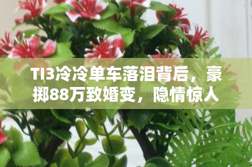 TI3冷冷单车落泪背后,豪掷88万致婚变,隐情惊人 TI3冷冷单车落泪背后,豪掷88万致婚变,隐情惊人