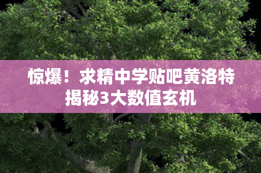 惊爆！求精中学贴吧黄洛特揭秘3大数值玄机