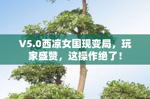 V5.0西凉女国现变局,玩家盛赞,这操作绝了! V5.0西凉女国现变局,玩家盛赞,这操作绝了!