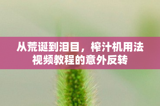 从荒诞到泪目,榨汁机用法视频教程的意外反转 从荒诞到泪目,榨汁机用法视频教程的意外反转