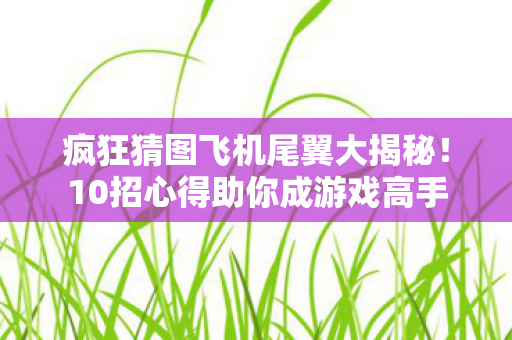 疯狂猜图飞机尾翼大揭秘!10招心得助你成游戏高手 疯狂猜图飞机尾翼大揭秘!10招心得助你成游戏高手