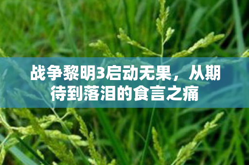 战争黎明3启动无果,从期待到落泪的食言之痛 战争黎明3启动无果,从期待到落泪的食言之痛
