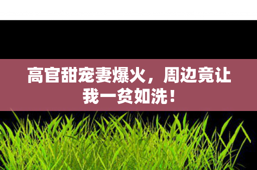 高官甜宠妻爆火，周边竟让我一贫如洗！