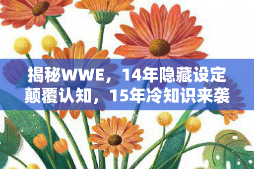 揭秘WWE,14年隐藏设定颠覆认知,15年冷知识来袭 揭秘WWE,14年隐藏设定颠覆认知,15年冷知识来袭