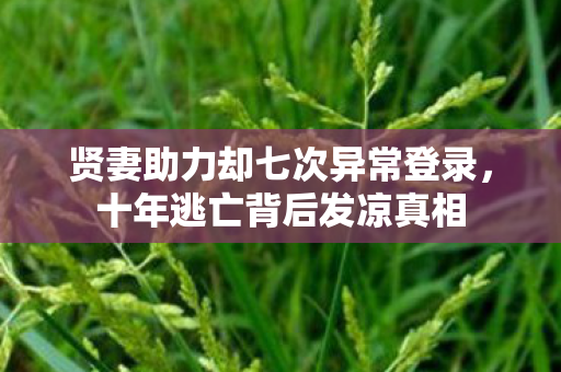 贤妻助力却七次异常登录,十年逃亡背后发凉真相 贤妻助力却七次异常登录,十年逃亡背后发凉真相