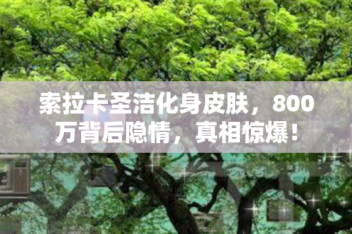 索拉卡圣洁化身皮肤,800万背后隐情,真相惊爆! 索拉卡圣洁化身皮肤,800万背后隐情,真相惊爆!