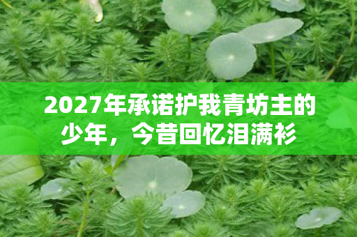 2027年承诺护我青坊主的少年,今昔回忆泪满衫 2027年承诺护我青坊主的少年,今昔回忆泪满衫