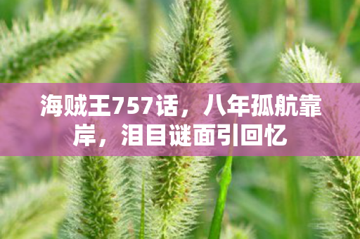 海贼王757话,八年孤航靠岸,泪目谜面引回忆 海贼王757话,八年孤航靠岸,泪目谜面引回忆