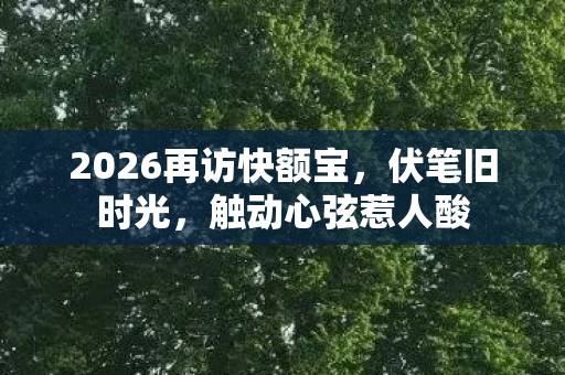2026再访快额宝，伏笔旧时光，触动心弦惹人酸