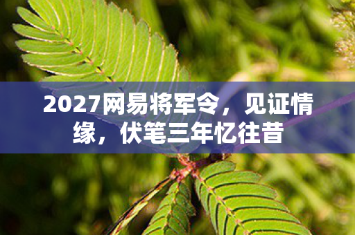 2027网易将军令,见证情缘,伏笔三年忆往昔 2027网易将军令,见证情缘,伏笔三年忆往昔