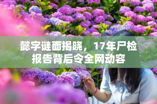 懿字谜面揭晓,17年尸检报告背后令全网动容 懿字谜面揭晓,17年尸检报告背后令全网动容
