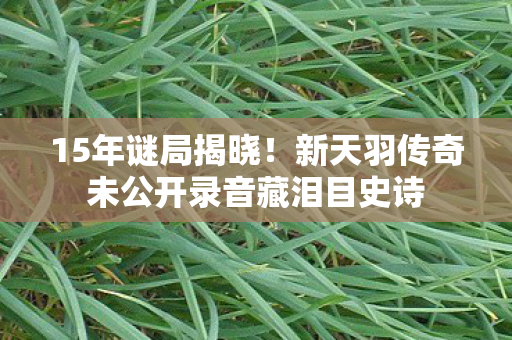 15年谜局揭晓!新天羽传奇未公开录音藏泪目史诗 15年谜局揭晓!新天羽传奇未公开录音藏泪目史诗