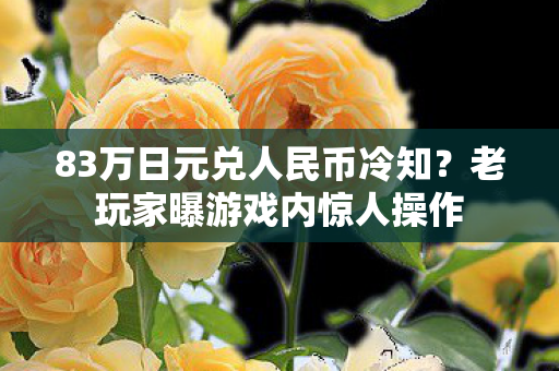 83万日元兑人民币冷知?老玩家曝游戏内惊人操作 83万日元兑人民币冷知?老玩家曝游戏内惊人操作