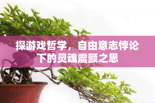 探游戏哲学，自由意志悖论下的灵魂震颤之思