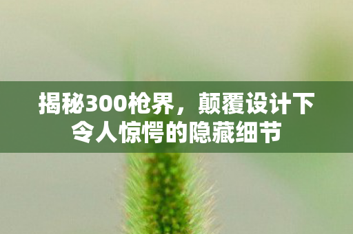 揭秘300枪界，颠覆设计下令人惊愕的隐藏细节