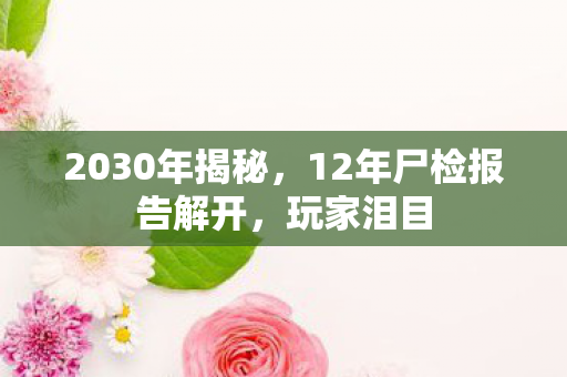 2030年揭秘,12年尸检报告解开,玩家泪目 2030年揭秘,12年尸检报告解开,玩家泪目