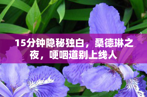 15分钟隐秘独白,桑德琳之夜,哽咽道别上线人 15分钟隐秘独白,桑德琳之夜,哽咽道别上线人